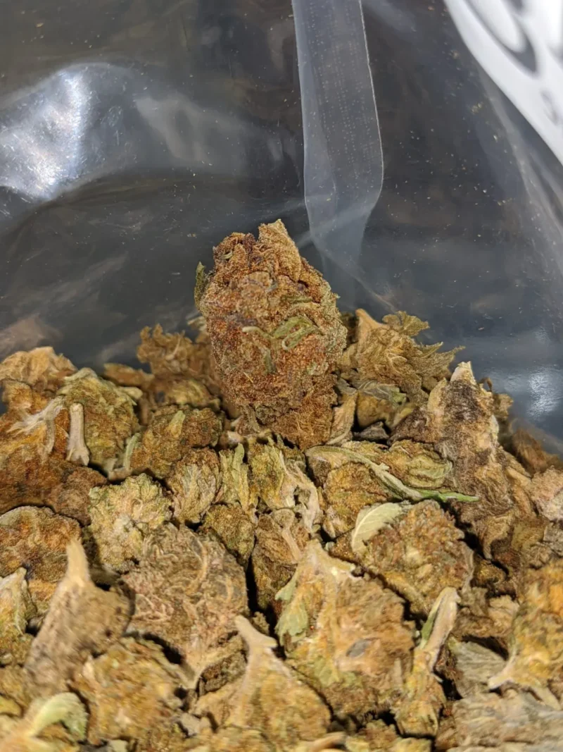 AA+ Bulk Special Indica - Image 7