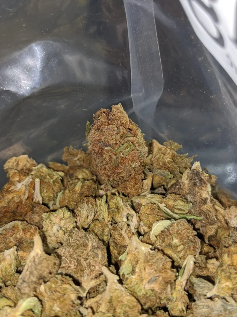 AA+ Bulk Special Indica - Image 6
