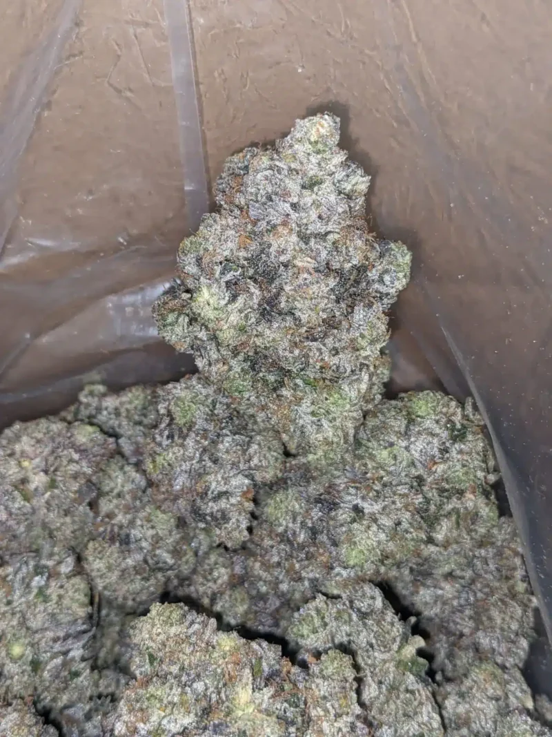 Death Bubba x Rockstar