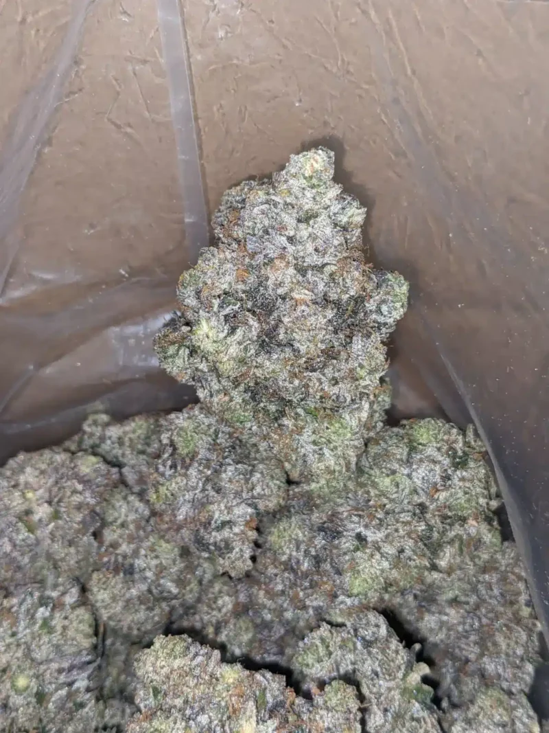 Death Bubba x Rockstar - Image 5