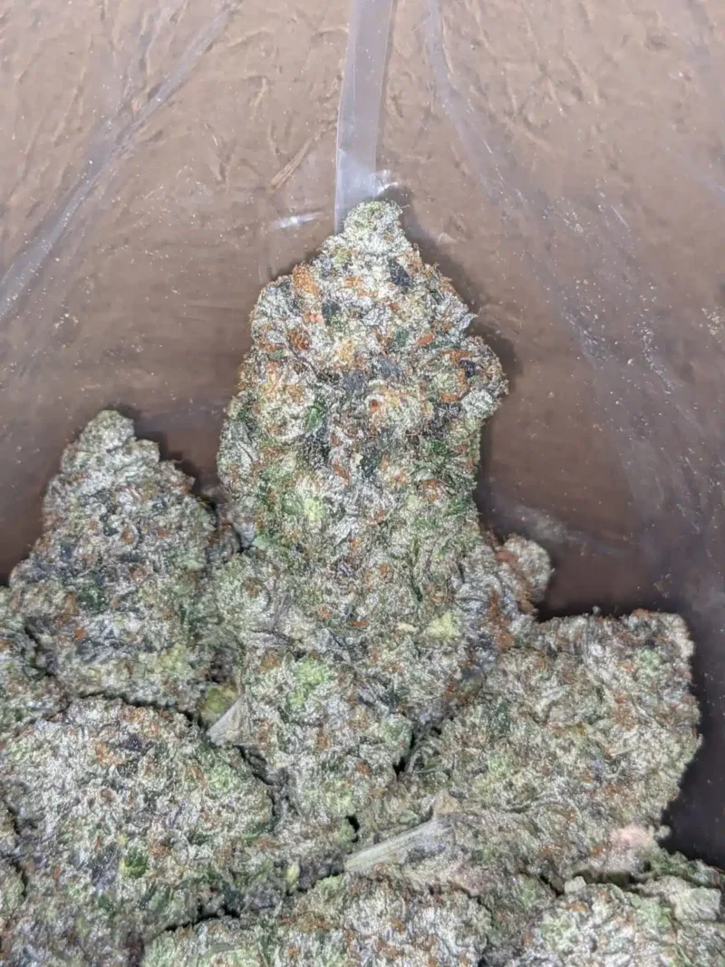Pink Rockstar - Image 2