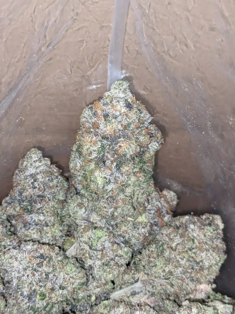 Pink Rockstar