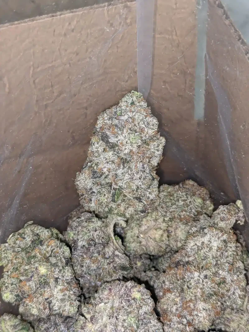 Batman OG - Image 5