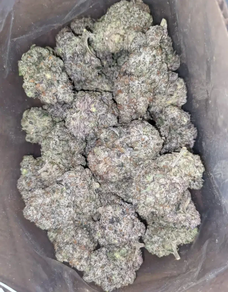 Batman OG - Image 2