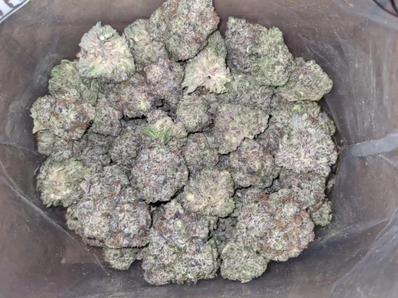 Platinum Rockstar Kush - Image 4