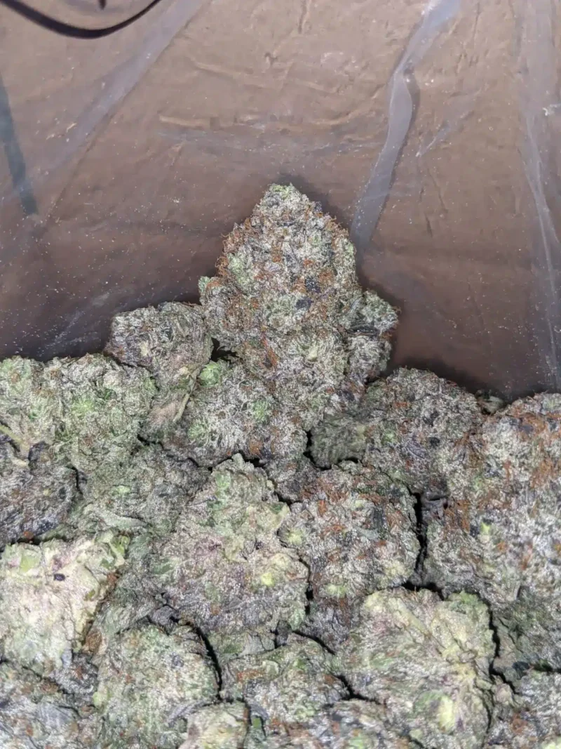 Platinum Rockstar Kush - Image 5