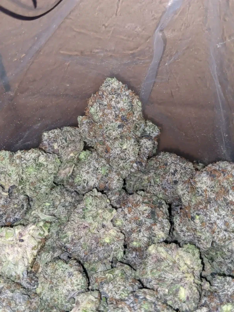 Platinum Rockstar Kush