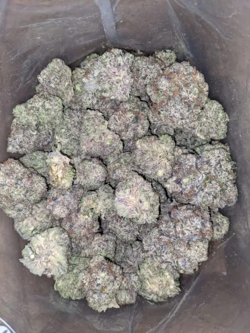 Platinum Rockstar Kush - Image 3