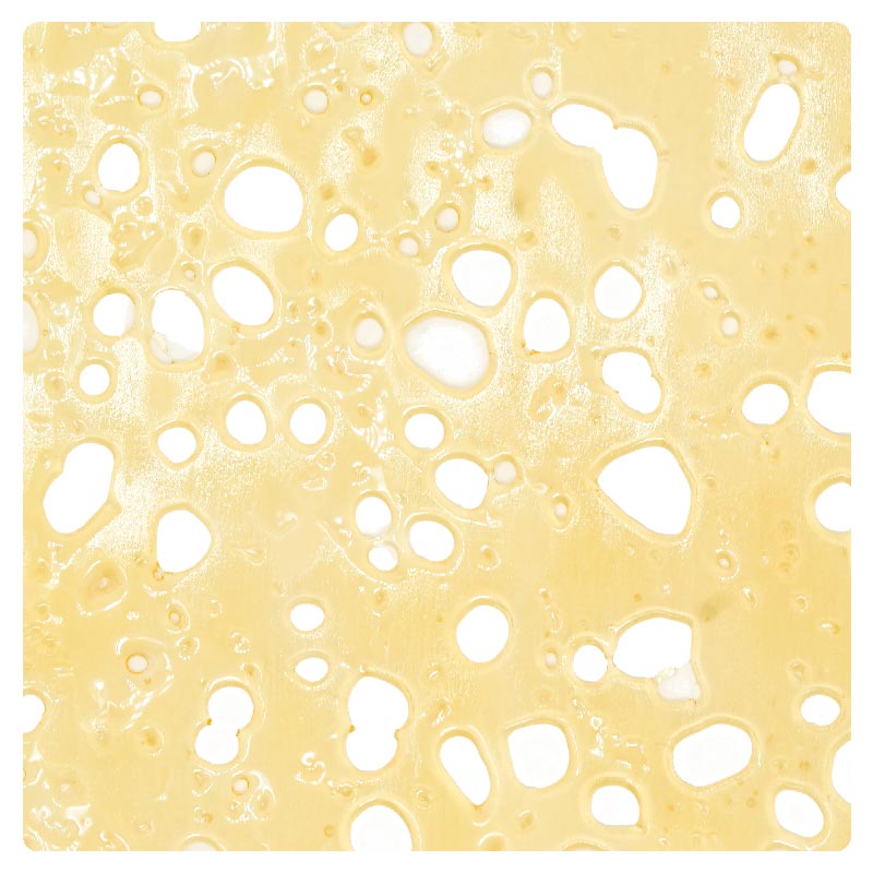 White Rhino Shatter