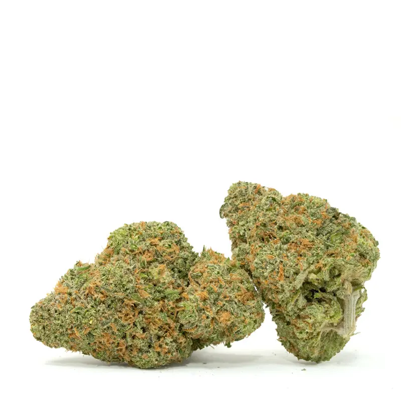 White Rhino