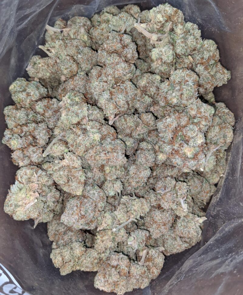 White Russian - Image 6