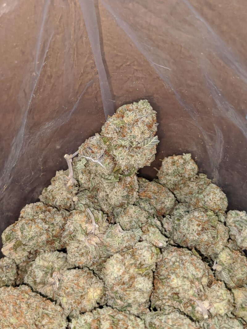 White Cookies - Image 4