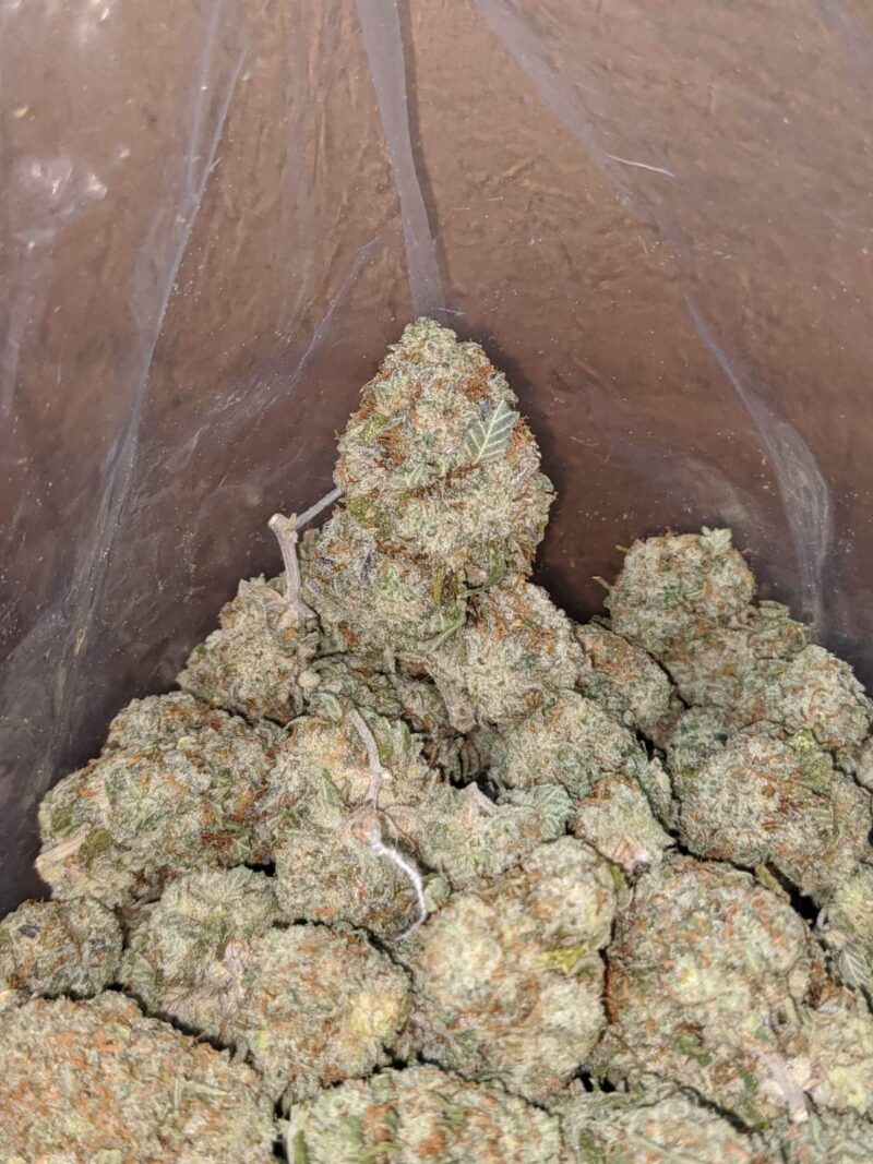 White Cookies - Image 7