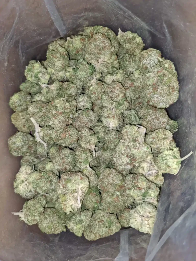 White Fire OG - Image 5