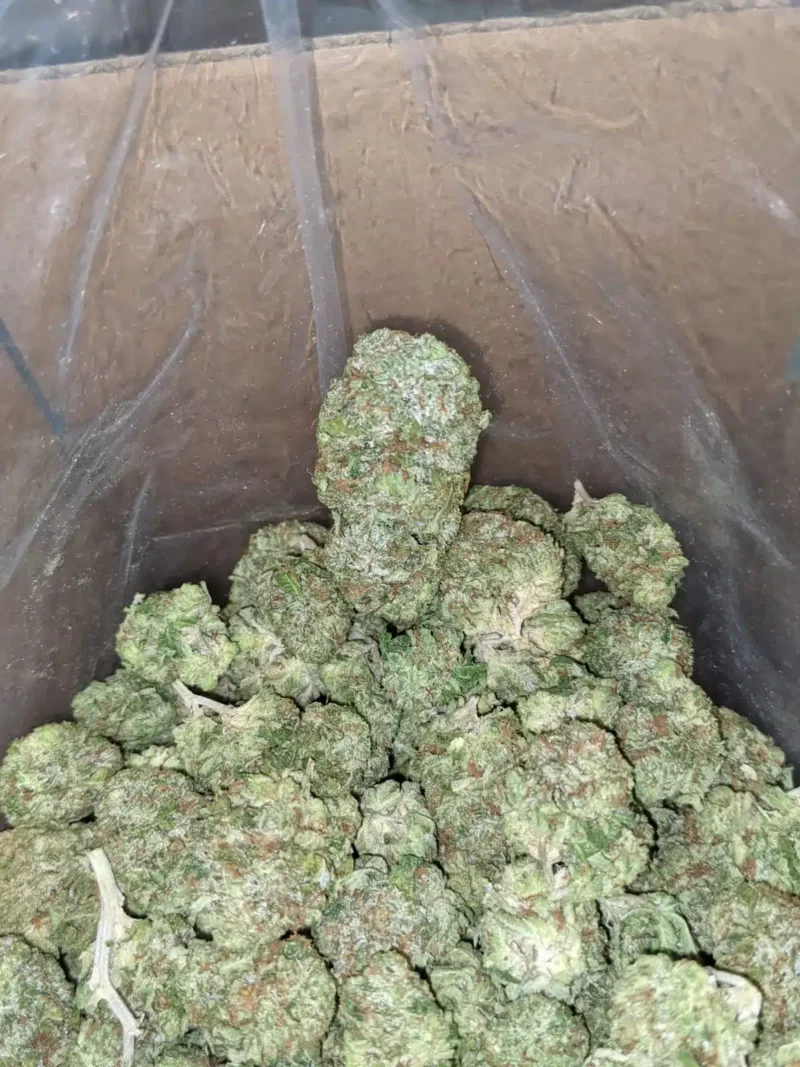 White Fire OG - Image 4