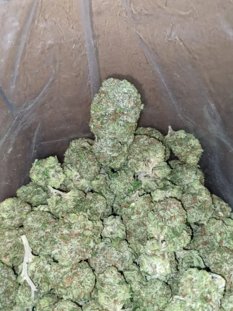 White Fire OG - Image 7