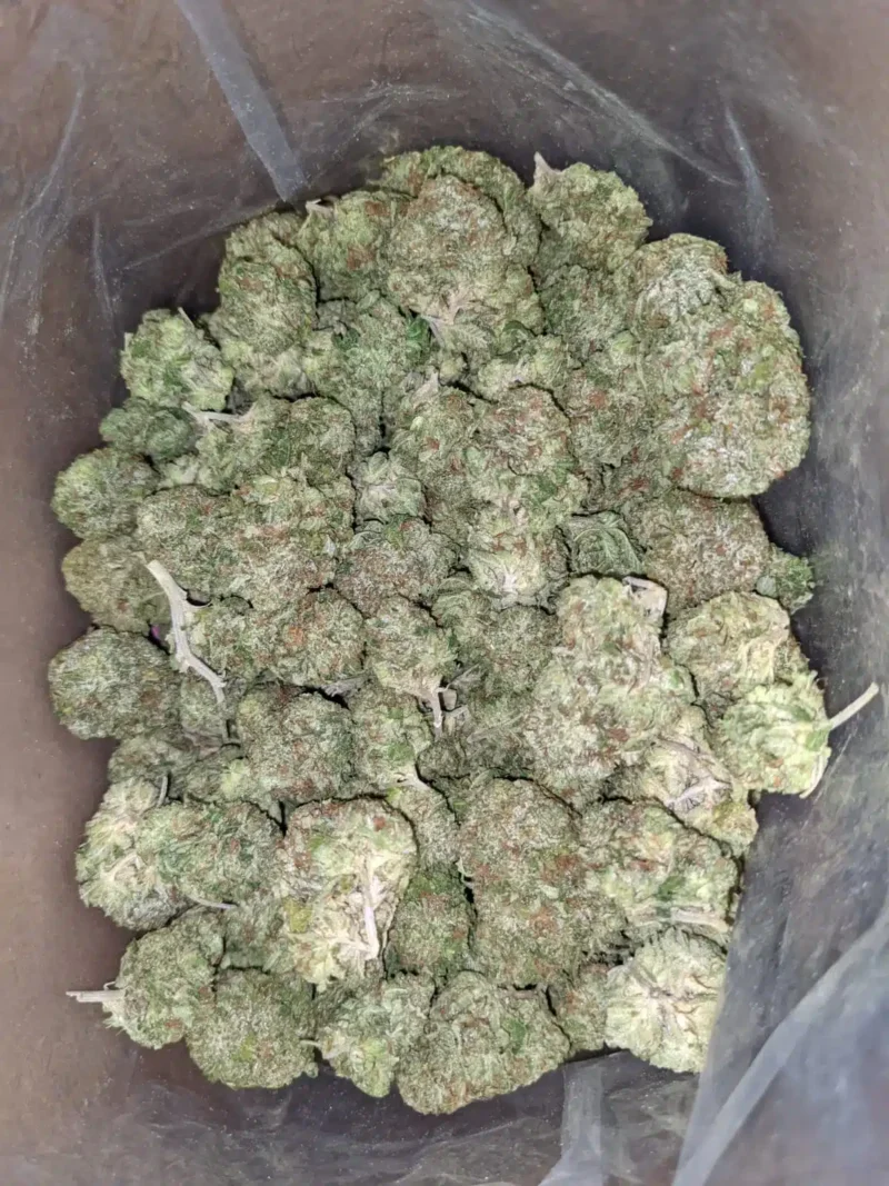 White Fire OG - Image 6