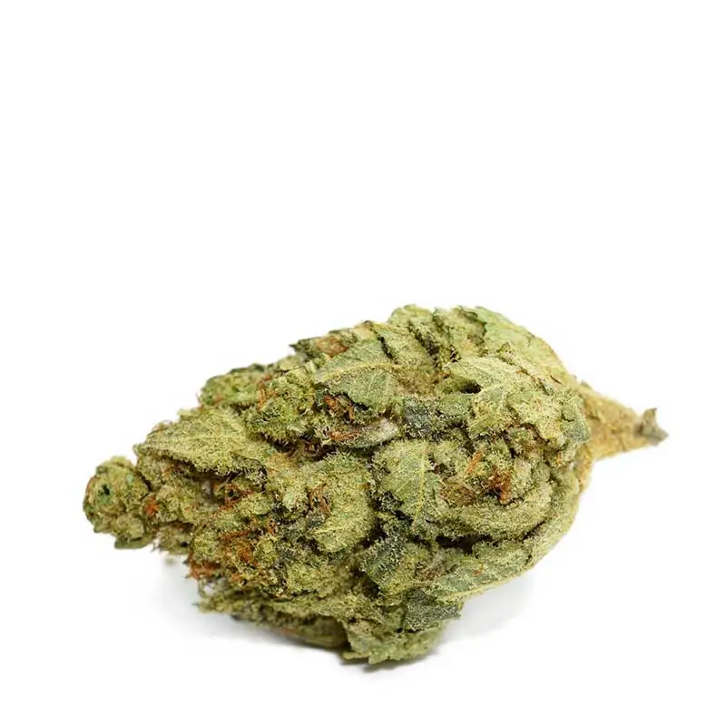 White Widow