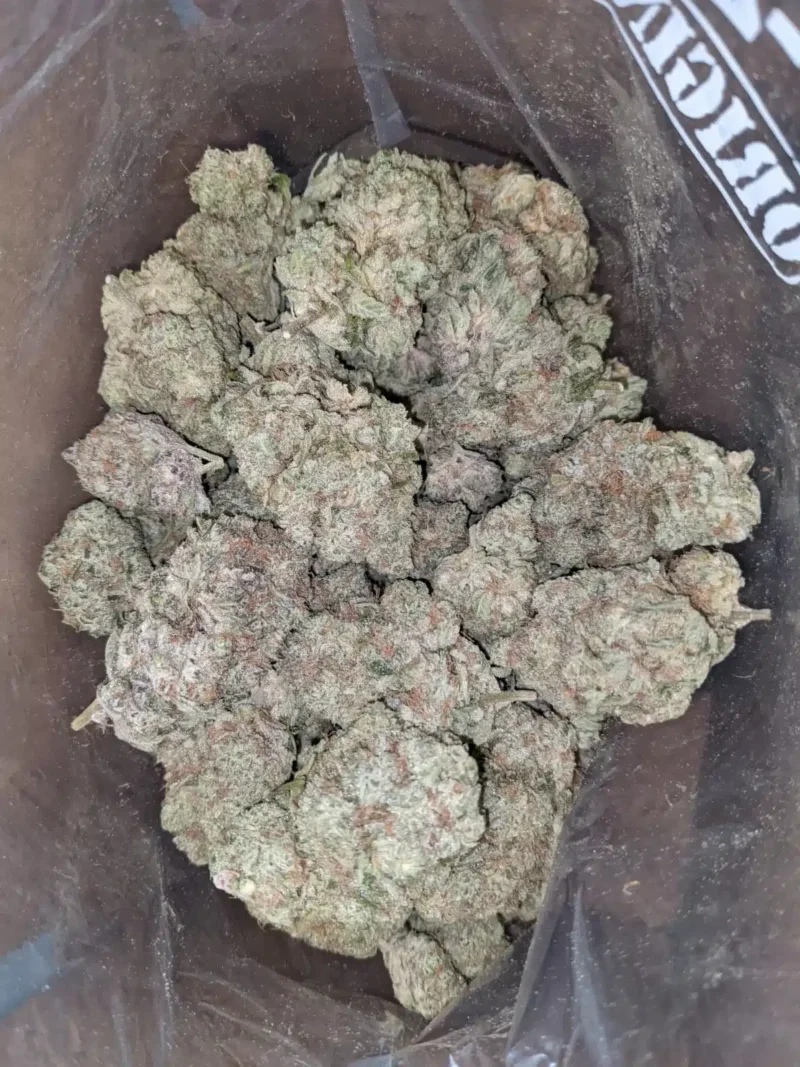 Yoda OG - Image 5