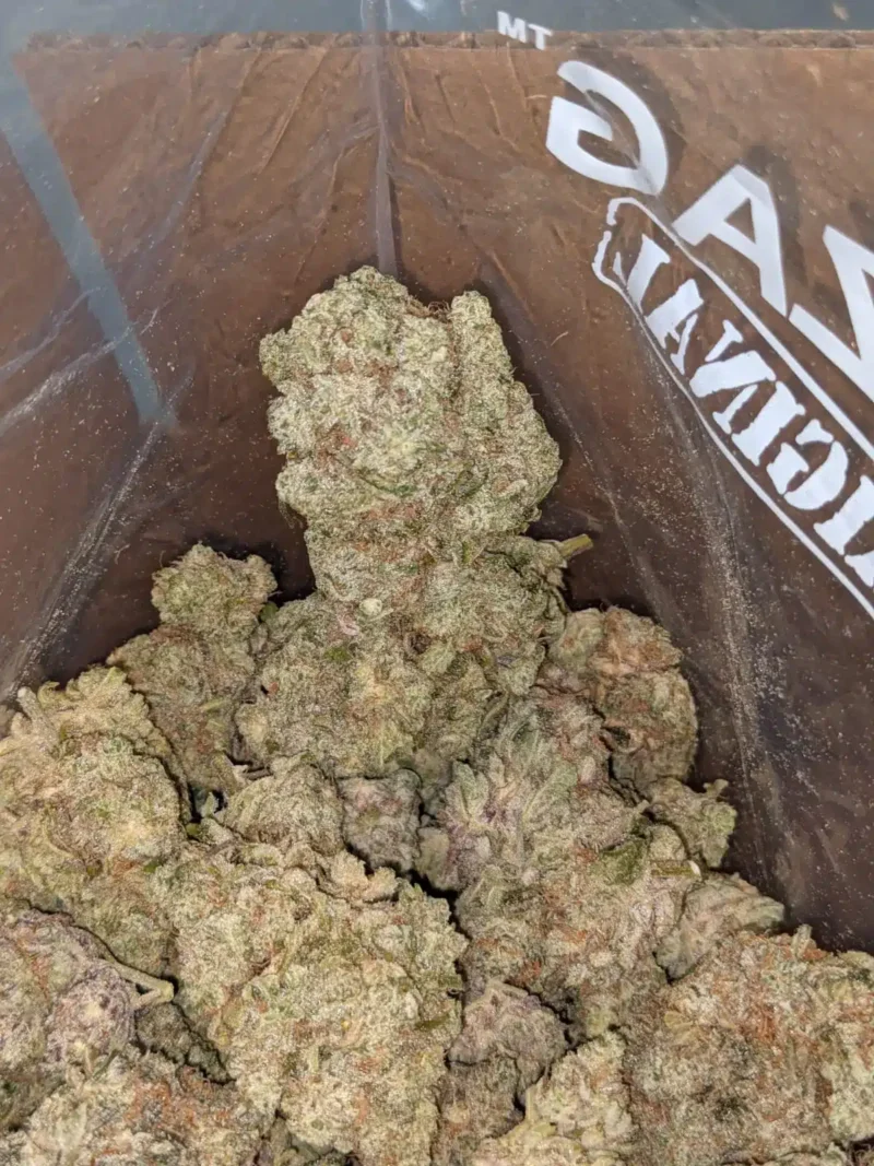 Yoda OG - Image 4