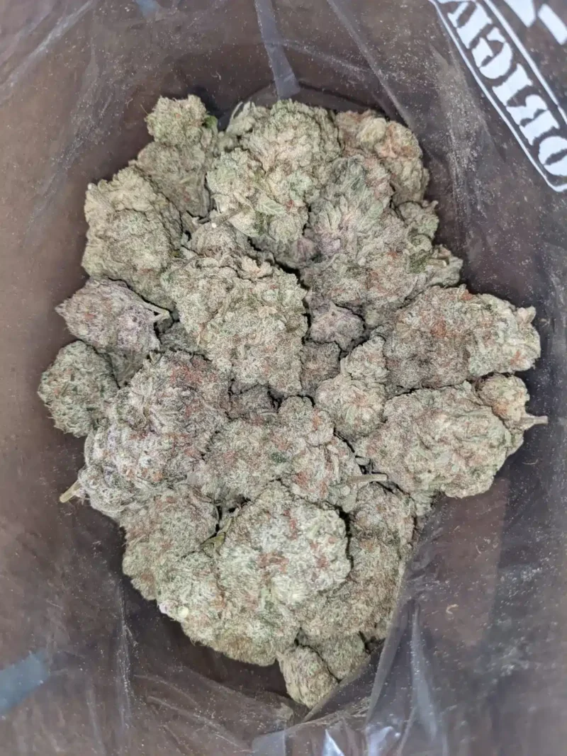 Yoda OG - Image 6