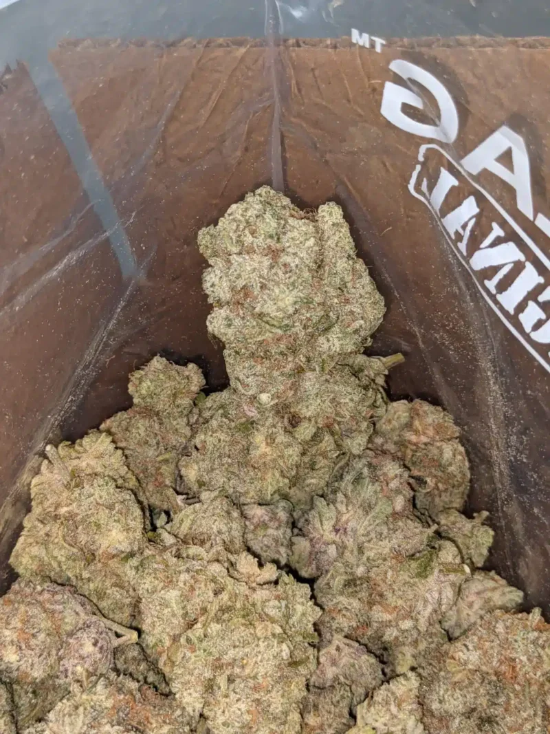 Yoda OG - Image 7
