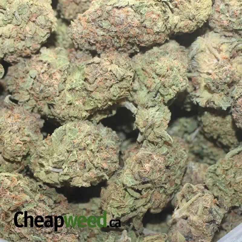 Zkittles - Image 3