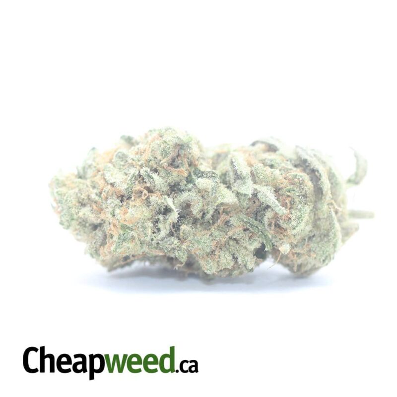 Zombie Kush