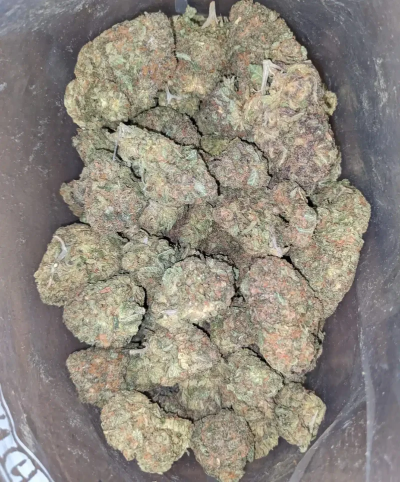Zkittles - Image 5