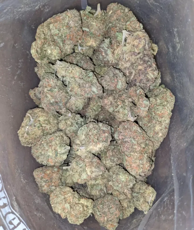 Zkittles - Image 4