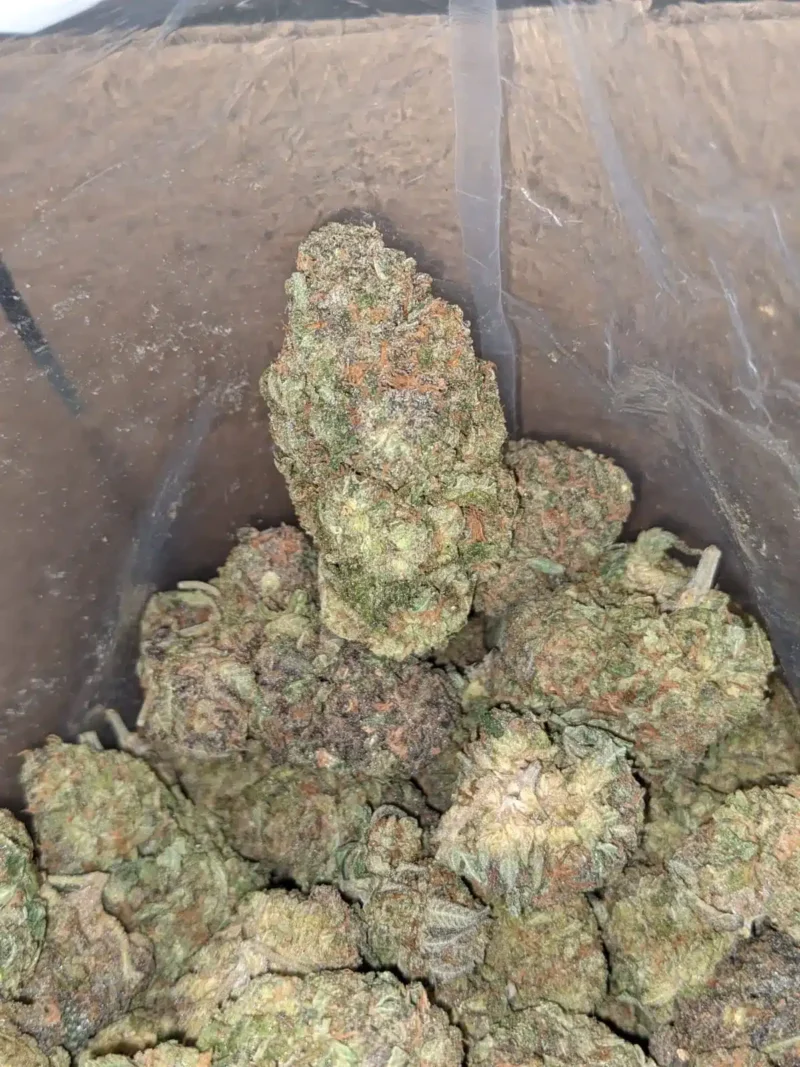 Zkittles - Image 7