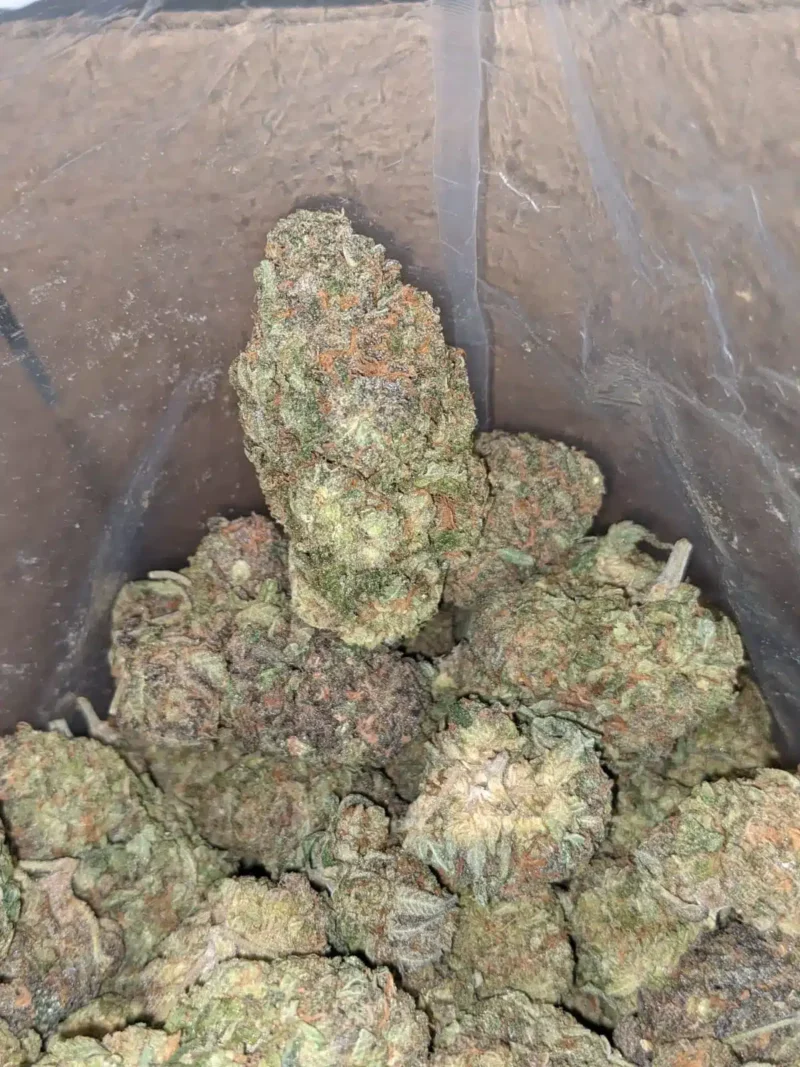 Zkittles - Image 6