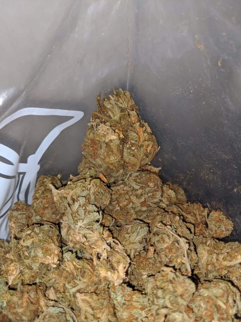 AA Bubba Bulk Special - Image 6