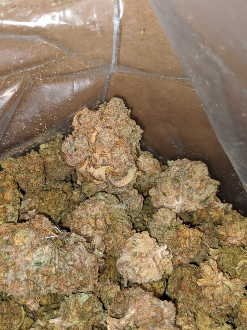AA Cheap Kush Bulk Special - Image 7