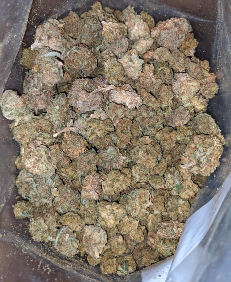 AA Cheap Kush Bulk Special - Image 5