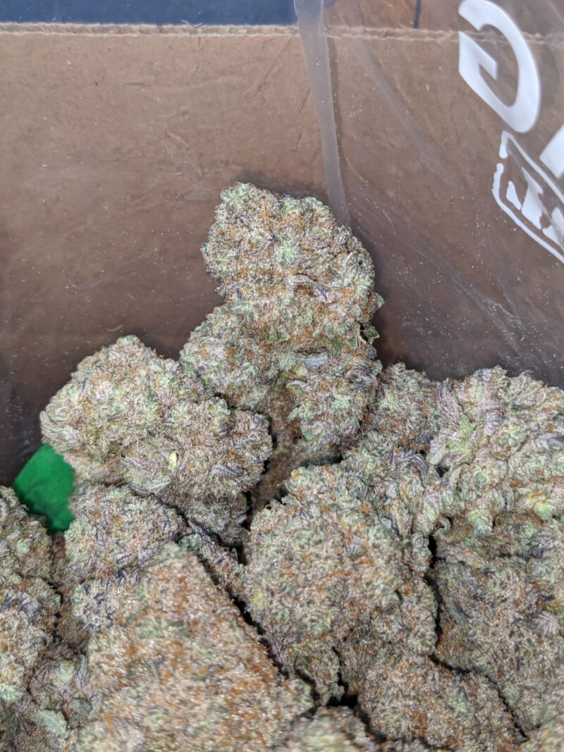 Ace Of Spades - Image 7