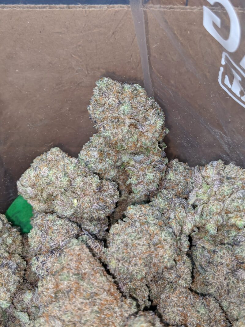 Ace Of Spades - Image 6