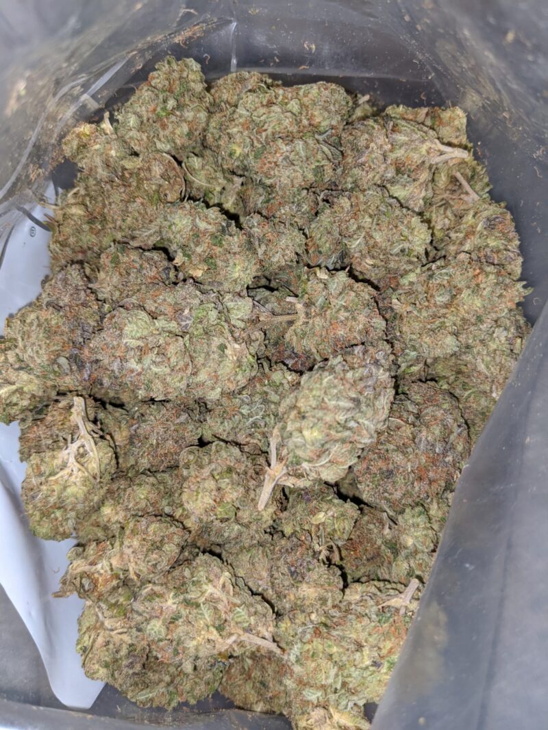 Afghani Kush - Image 5
