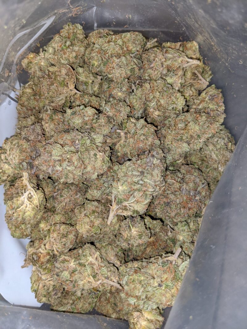 Afghani Kush - Image 4