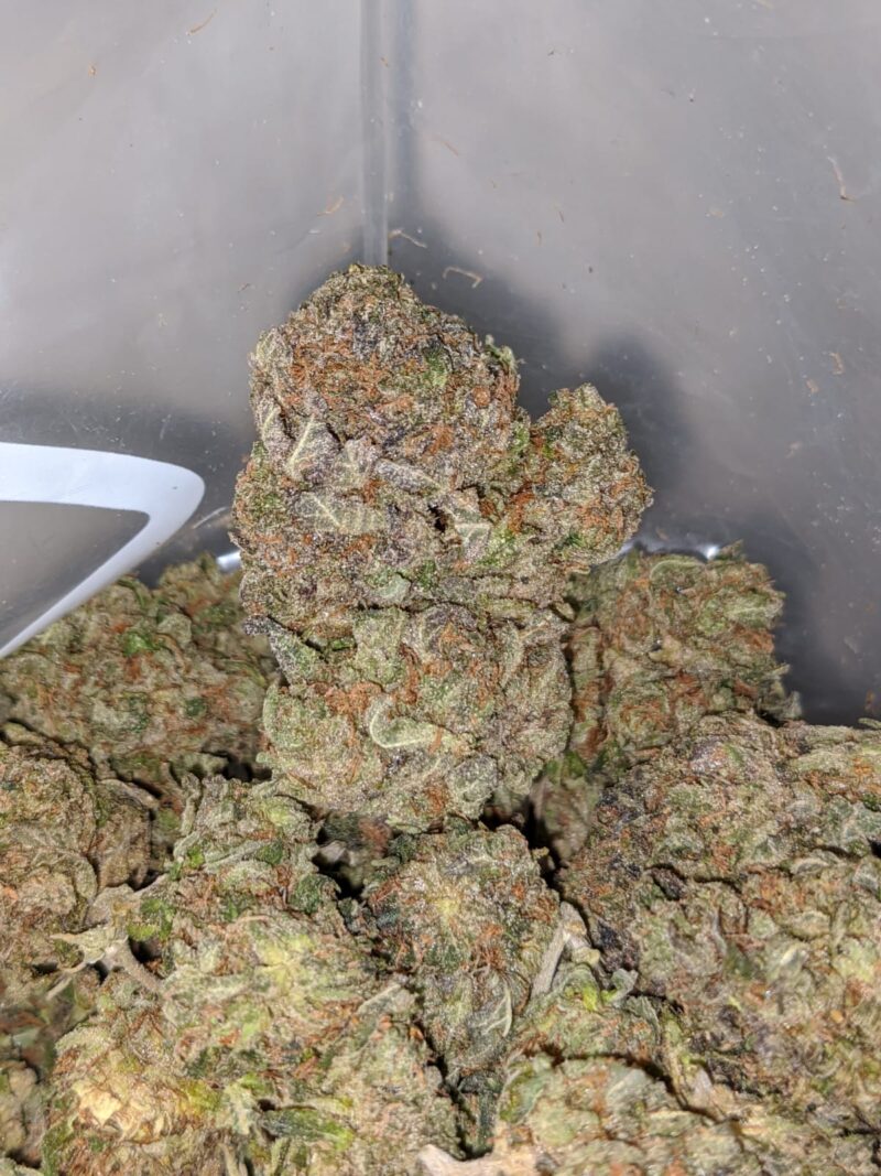 Afghani Kush - Image 7