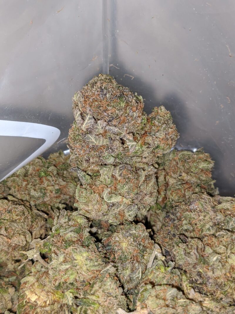 Afghani Kush - Image 6