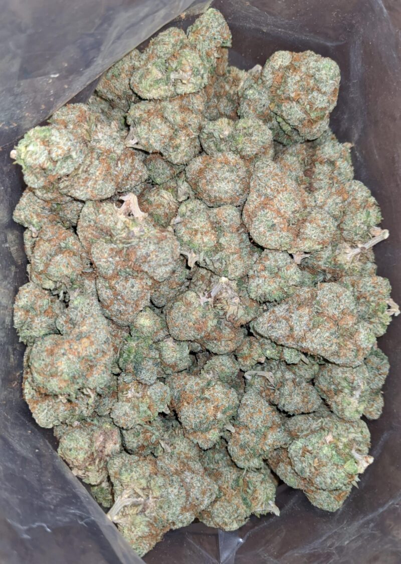 Agent Orange - Image 5