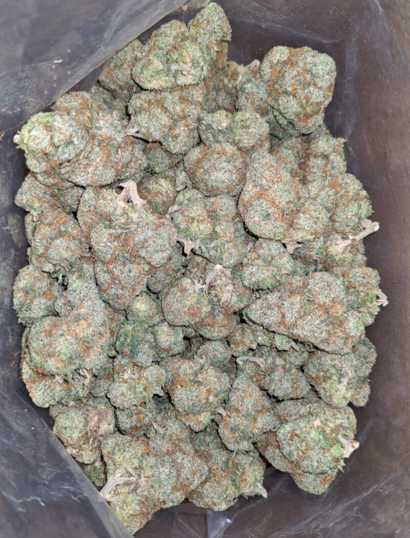 Agent Orange - Image 4