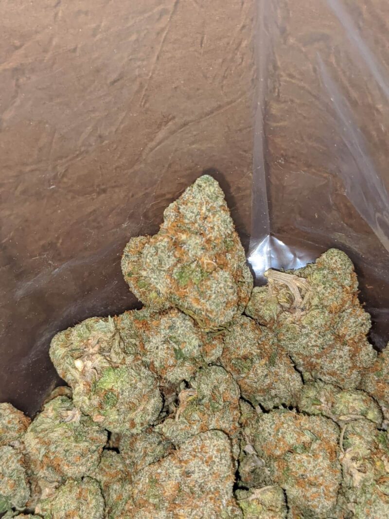 Agent Orange - Image 7
