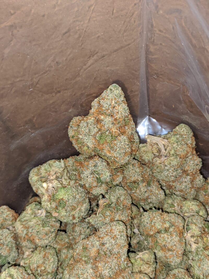 Agent Orange - Image 6