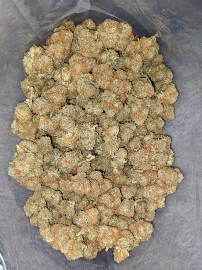 Agent Orange – *Deal Of The Day* (Smalls) - Image 6