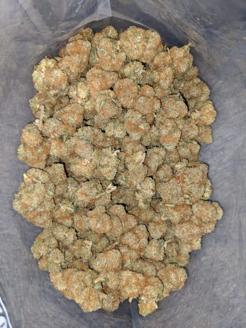 Agent Orange – *Deal Of The Day* (Smalls) - Image 5