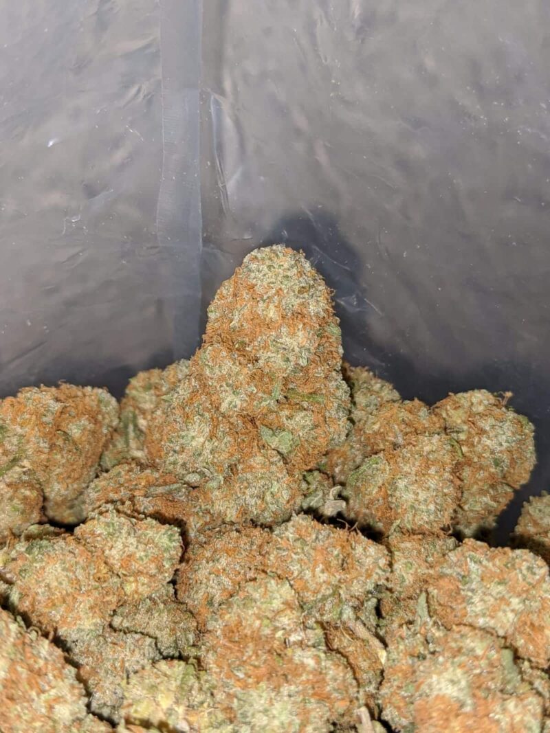 Agent Orange – *Deal Of The Day* (Smalls) - Image 4