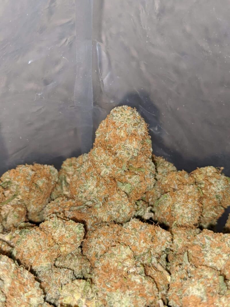 Agent Orange – *Deal Of The Day* (Smalls) - Image 7