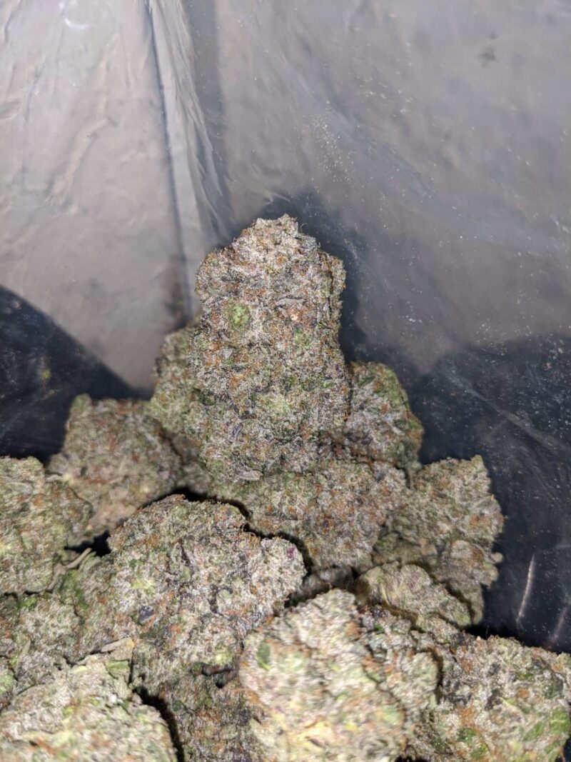 AK-47 - Image 7